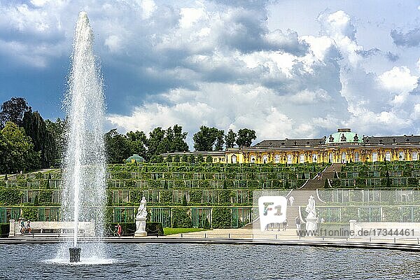 Great Fountain in Sanssouci Palace Park  Potsdam  Brandenburg  Germany  Europe