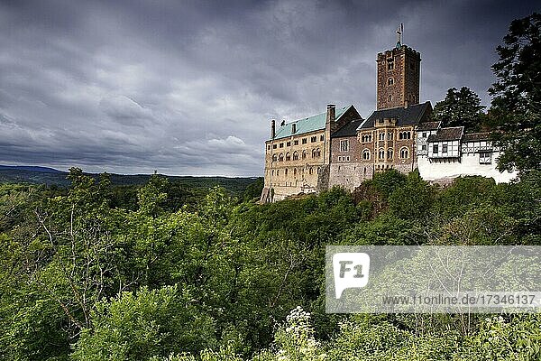 Wartburg  Wehrgang  Bergfried  Neues Haus und Palas  UNESCO-Weltkulturerbe  Eisenach  Thüringer Wald  Thüringen  Deutschland  Europa