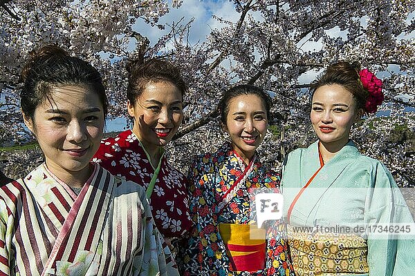Als Geishas gekleidete Frauen stehen in den blühenden Kirschbäumen  Fort Goryokaku  Hakodate  Hokkaido  Japan  Asien