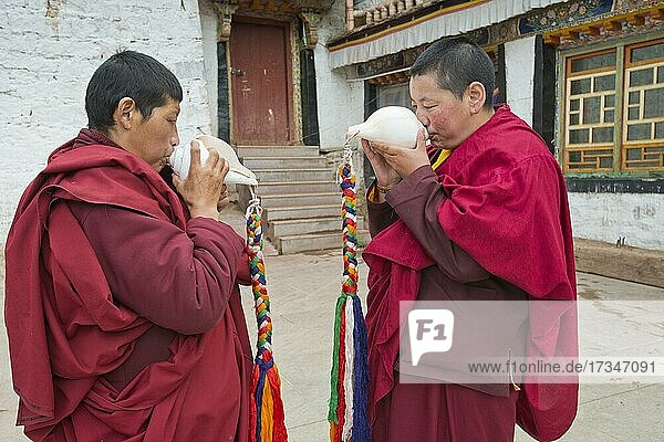 Buddhistische Nonnen im Kloster Terdom rufen mit dem Muschelhorn  Nonnenkloster Tidro Gompa  Terdrom  Tirdrom  Tibet  China  Asien