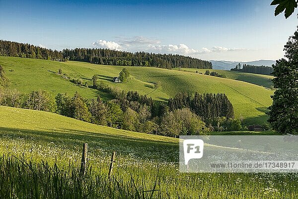 Einsames Bauernhaus in hügeliger Landschaft  Frühling  St.Märgen  Schwarzwald  Baden-Württemberg  Deutschland  Europa
