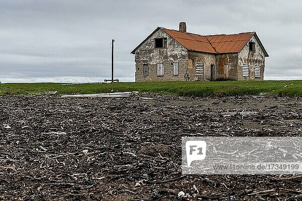 Verlassenes verfallenes Haus  Halbinsel Langanes  Island  Europa