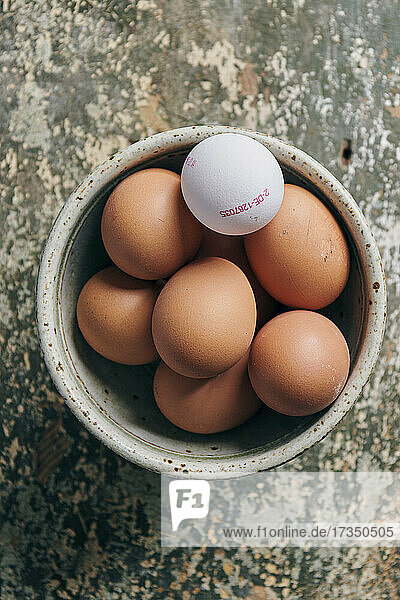 Braune Eier und ein weißes Ei mit Stempel
