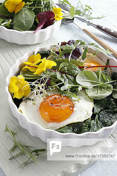 Stewed spinach with fried egg rocket and sprouts