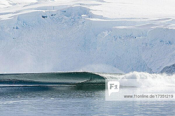 Eine massive Serie von Wellen  die sich nach einem gewaltigen Gletscherkalben in Neko Harbor  Antarktis  Polarregionen  gebildet hat