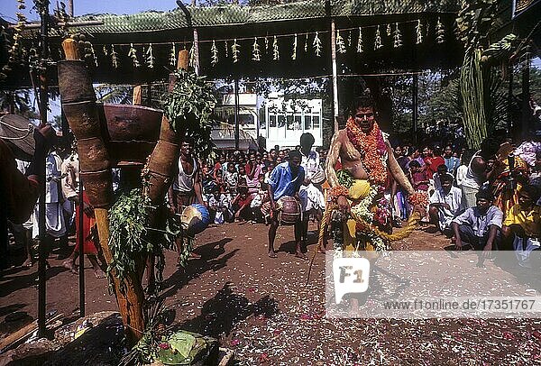 Ein von Gott besessener Mann  der sich selbst mit einer Peitsche schlägt. Mariamman-Fest in Coimbatore  Tamil Nadu  Indien  Asien