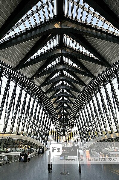 Gare TGV Satolas  Bahnhof Satolas mit Durchgang zum Flughafen St. Excupery  Lyon  Frankreich  Europa