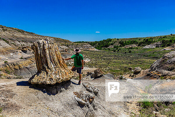 Man enjoying the view along The Petrified Forest Loop Trail inside Theodore Roosevelt National Park  North Dakota  United States of America  North America