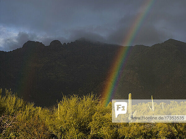 USA  Arizona  Tucson  Rainbow in landscape with mountains in background