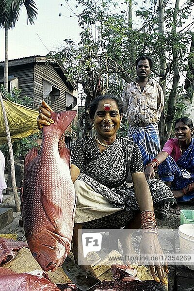 Frauen verkaufen Fisch in Port Blair  Andamanen und Nikobaren  Indien  Asien