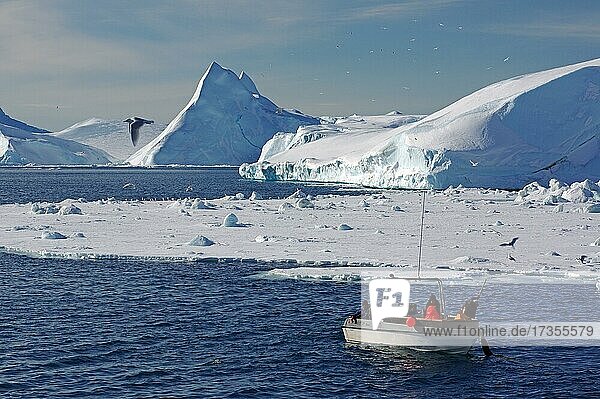 Fischerboot vor eisbergen  Ilulissat  Grönland  Dänemark  Nordamerika