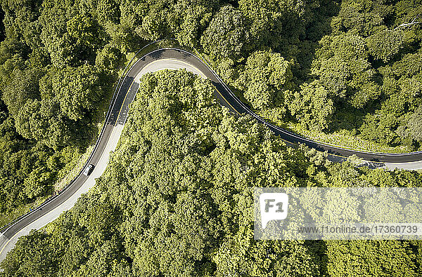 USA  Virginia  Luftaufnahme der Straße Back of Dragon  umgeben von grünem Wald im Sommer
