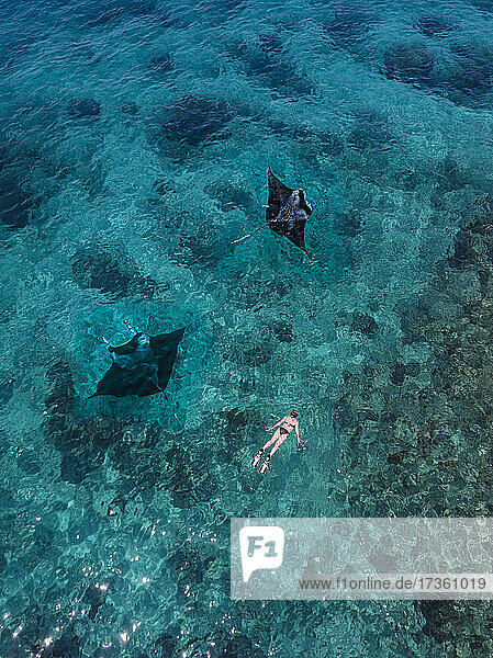Aerial view of woman swimming near two manta rays in turquoise waters of Pacific Ocean