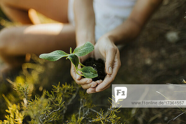 Woman with hands cupped holding plant