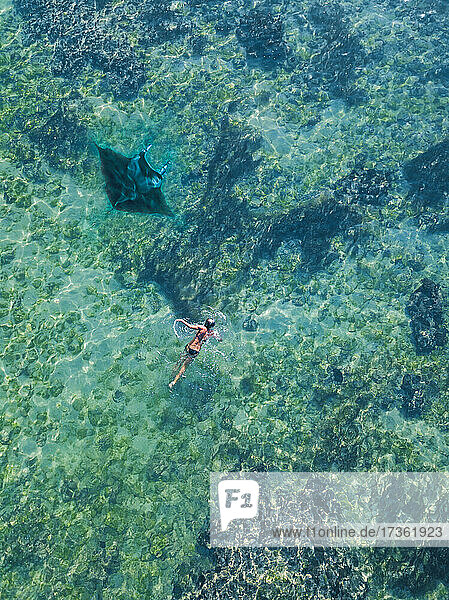 Luftaufnahme einer Frau  die in der Nähe eines Mantarochens im türkisfarbenen Wasser des Pazifischen Ozeans schwimmt