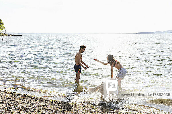 Couple playing with dog in Lake Trasimeno on sunny day