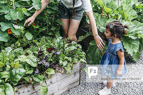 Mother searching while standing with daughter at vegetable garden