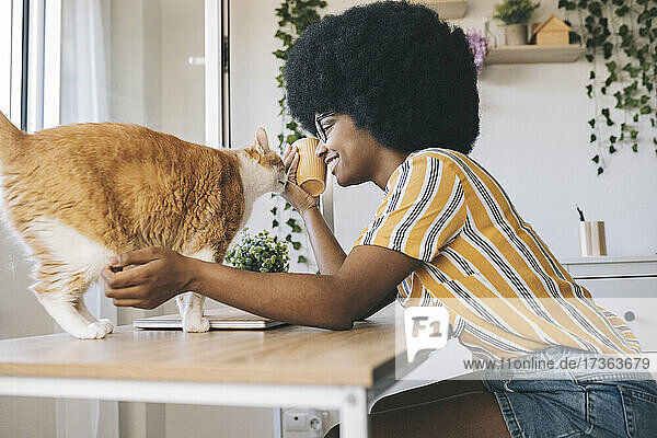 Afro woman playing with cat on desk at home