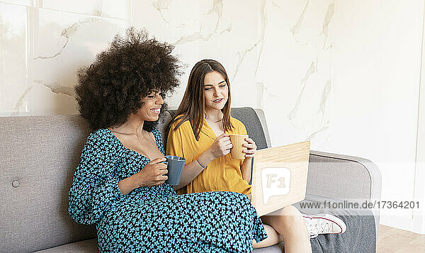 Junge Freundinnen schauen auf einen Laptop  während sie zu Hause auf dem Sofa sitzen