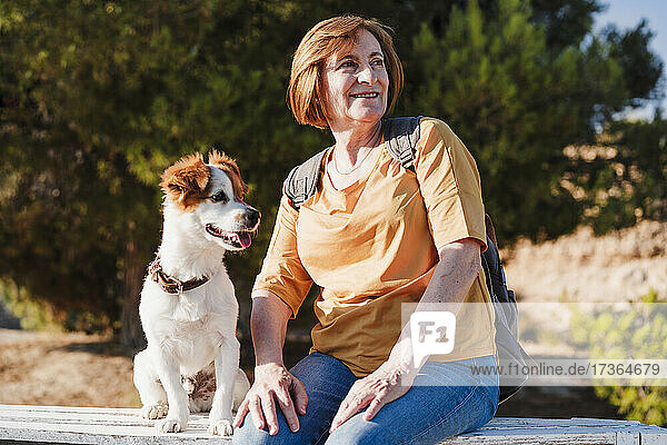Lächelnde ältere Frau schaut weg  während sie mit ihrem Hund auf einer Bank sitzt