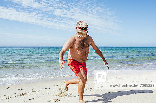 Mann mit Eidechsenmaske läuft an einem sonnigen Tag am Strand entlang