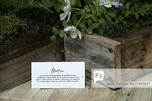 Kiste mit Wildblumen  Dekoration für eine Waldtaufe