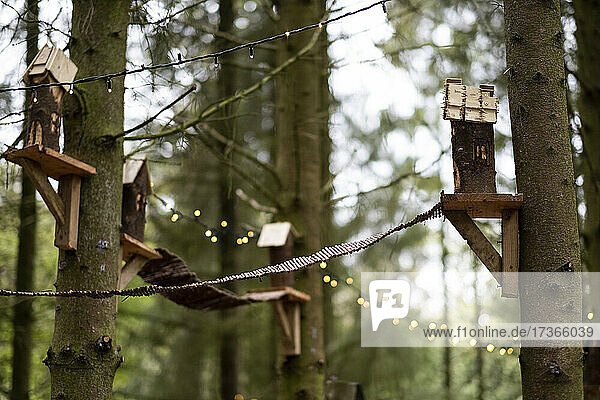 Vogelhäuschen aus Holz und Lichterketten in einem Baum  Dekoration für eine Feier im Wald