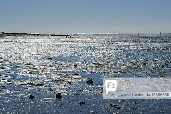 Low tide at Wadden Sea National Parks