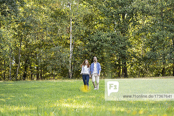 Smiling young couple enjoying a stroll in a park