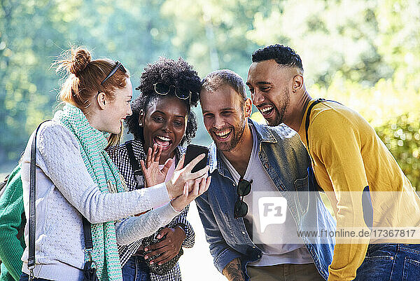 Fröhliche junge Freunde benutzen ihr Smartphone in einem öffentlichen Park