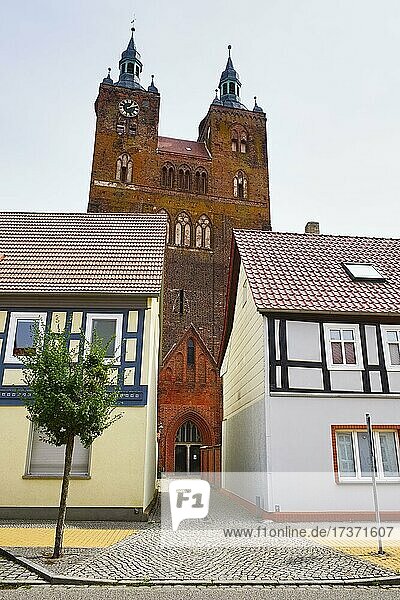 Kirche St. Petri  Seehausen  Altmark  Sachsen-Anhalt  Deutschland  Europa