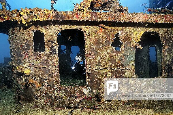 Taucher im Steuerhaus, Komandobrücke, Schlepper, Wrack, Schiffswrack, Virgen de Altagracia, Karibisches Meer bei Playa St. Lucia, Provinz Camagüey, Karibik, Kuba, Mittelamerika