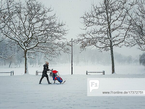 Snowy winter scene with a mom walking in the park with her baby on pram type sledge. Street photography seasonal scene  fluffy flakes snowfall in the square and mother carrying a stroller sleigh. Rose Valley  Chisinau  Moldova  Europe