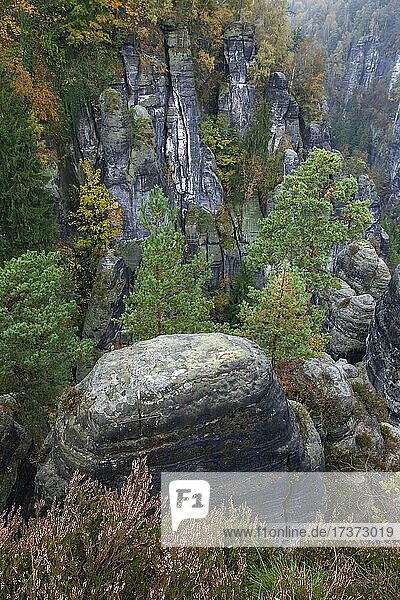 Sandsteinfelsen im Basteigebiet  Elbsandsteingebirge  Nationalpark Sächsische Schweiz  Deutschland  Europa