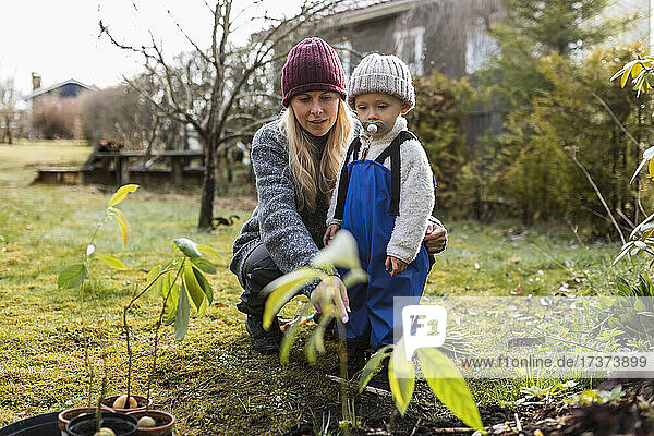 Mittlere erwachsene Frau mit Sohn  der eine Strickmütze trägt  betrachtet Pflanzen im Garten