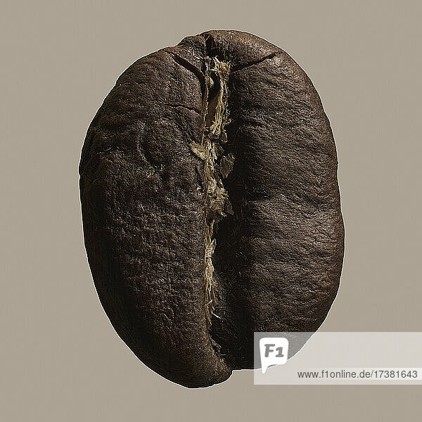 Close up braune Kaffeebohne auf grauem Hintergrund