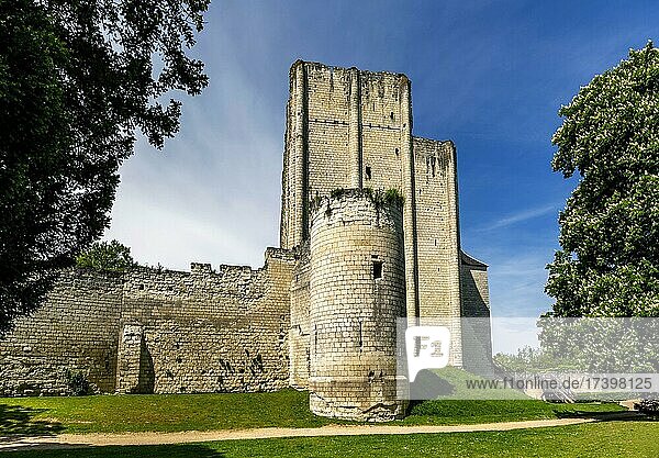 Mittelalterlicher Donjon-Turm des Schlosses der Stadt Loches  Departement Indre-et-Loire  Centre Val de Loire  Frankreich  Europa