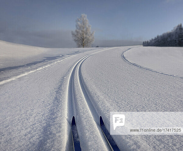Verschneite  hügelige Langlaufloipe mit Skiern in Estland  S-förmige Loipe im Winter.