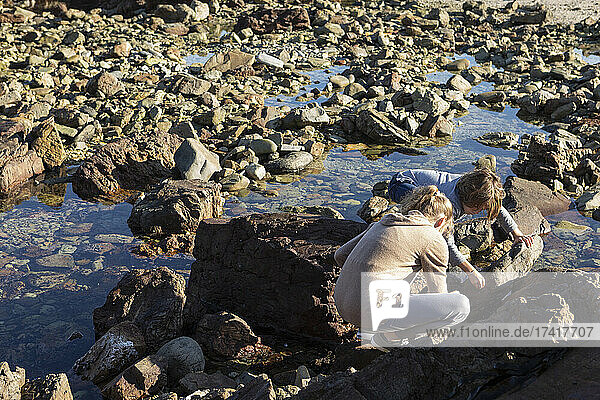 Two children bending down looking into a rock pool on the beach