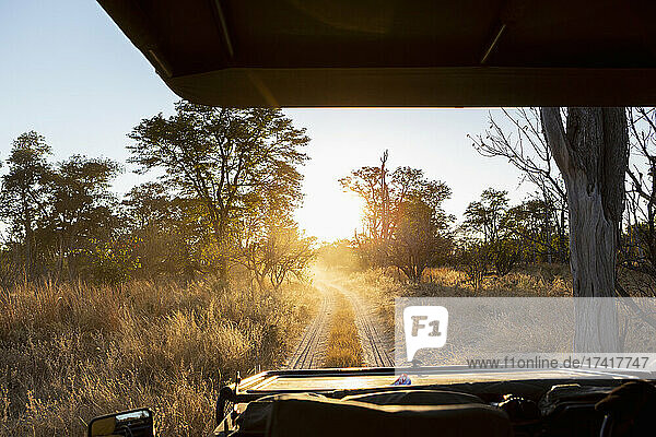 Safari-Fahrzeug bei Sonnenaufgang  Okavango-Delta  Botswana.