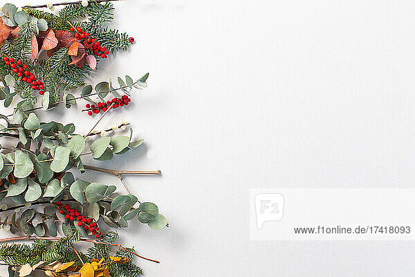Weihnachtsschmuck auf weißem Hintergrund  grüne Blätter und rote Beeren