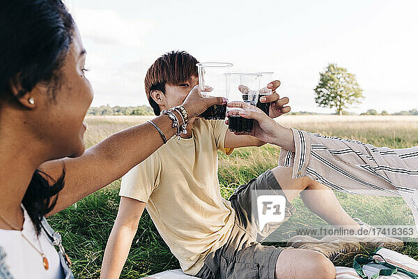 Freunde stoßen beim Picknick im Park auf Getränke an