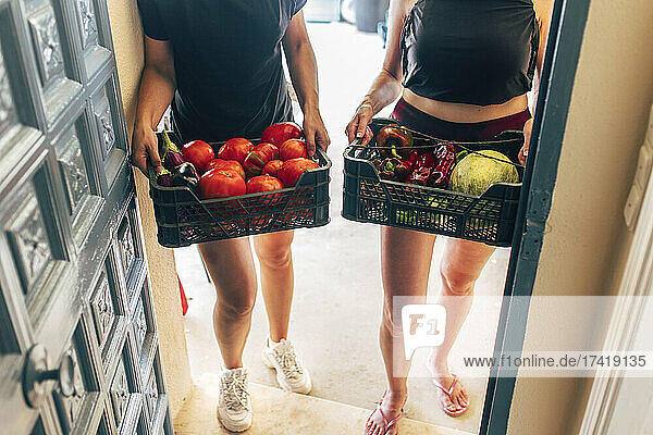 Young women with harvested organic vegetable baskets at doorway
