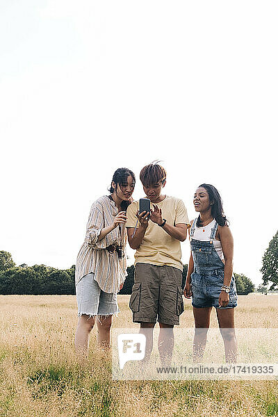 Friends checking mobile phone while standing on meadow