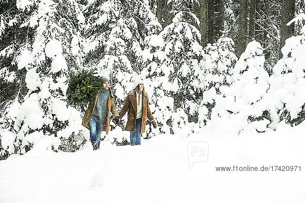 Boyfriend carrying Christmas tree while walking with girlfriend in forest during winter