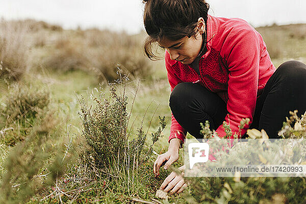 Young woman planting acorns on land