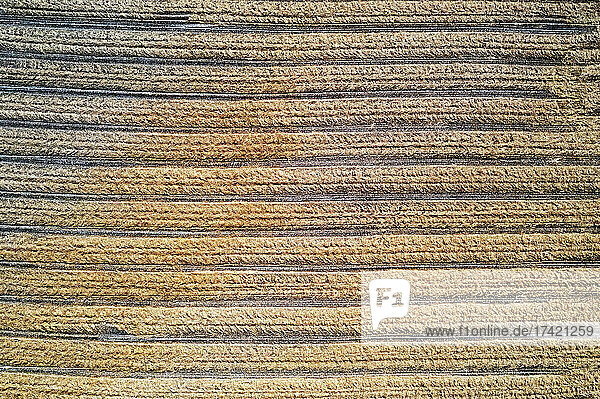 Drone view of brown countryside field