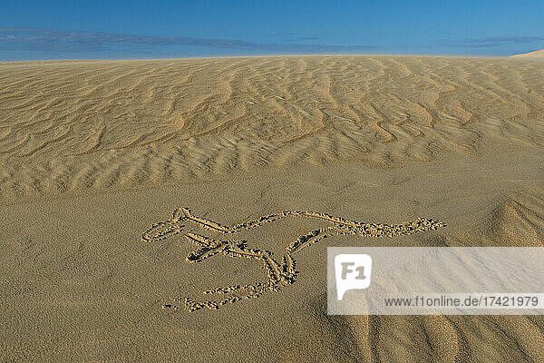 Kangaroo drawn in desert sand