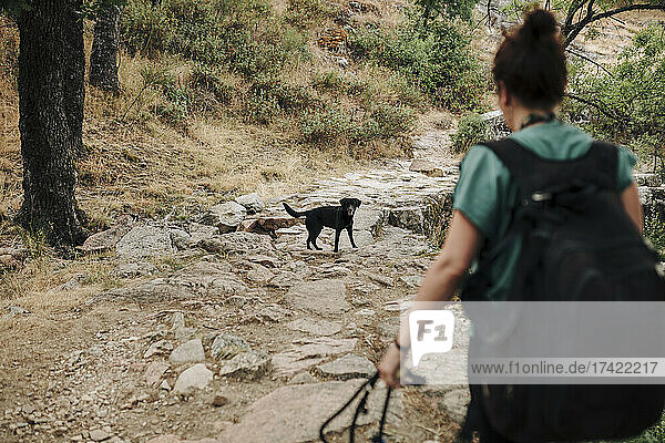 Dog and woman walking in forest during weekend