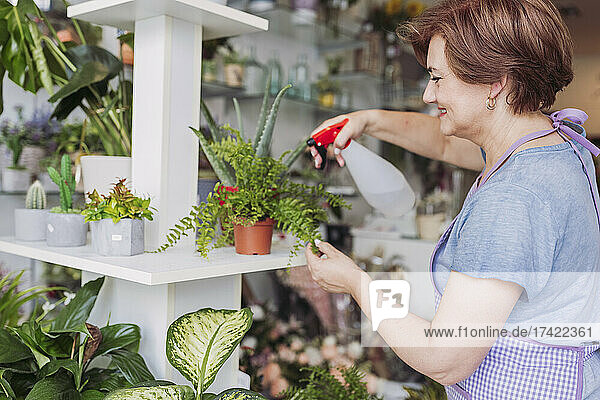 Smiling female florist spraying potted plants while working in flower shop